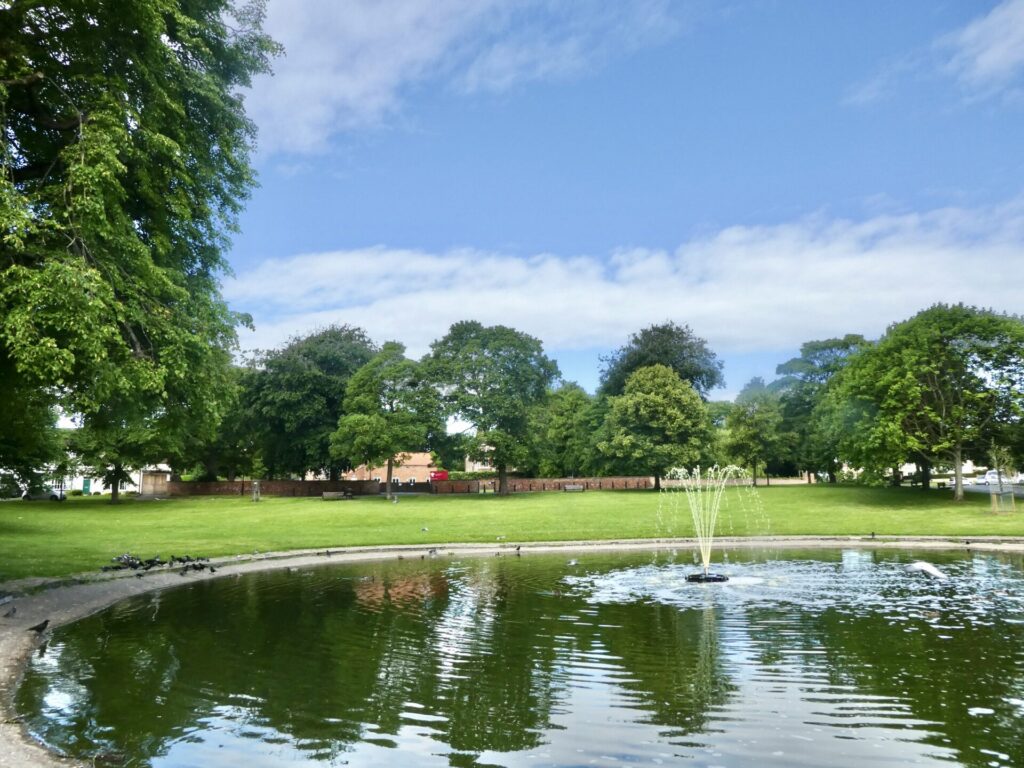 Norton Green and Duck Pond