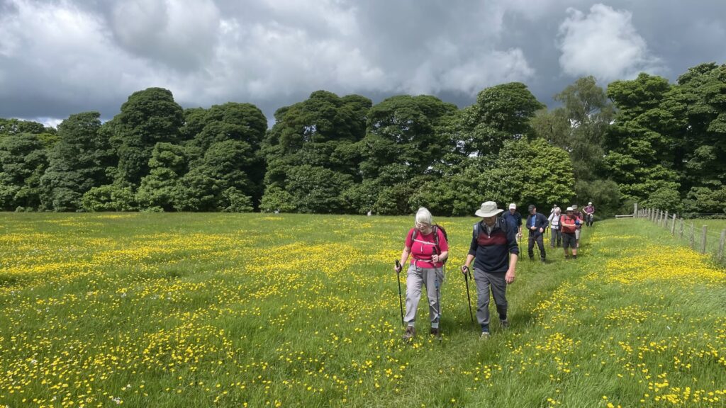 Towlerhill, near Barnard Castle